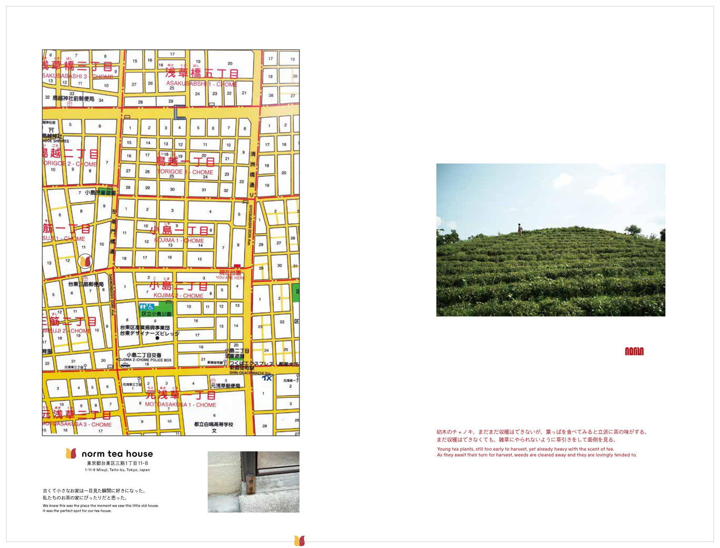 norm tea house original book “SAWA Tea Story”